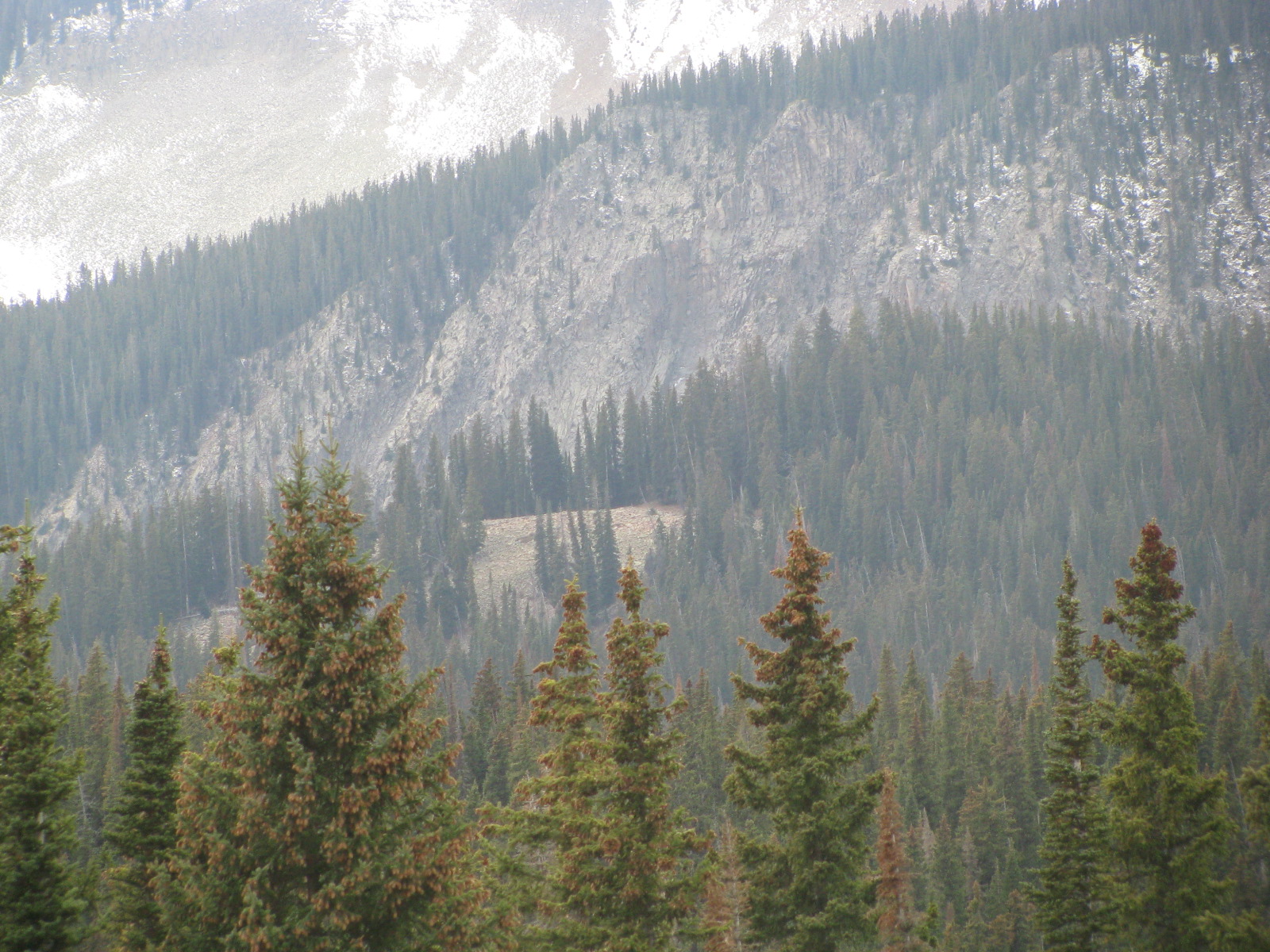 View of \'the knoll\' from Swampy Pass